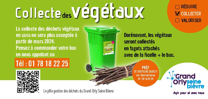 Déchets verts : les anciens sacs verts ne seront plus collectés